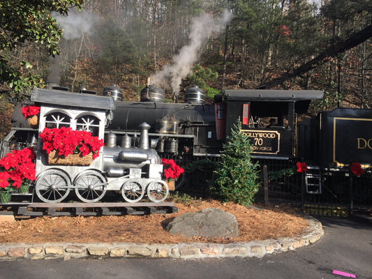 The Ultimate Dream Dollywood Trip: Fun, Adventure, and Magic!